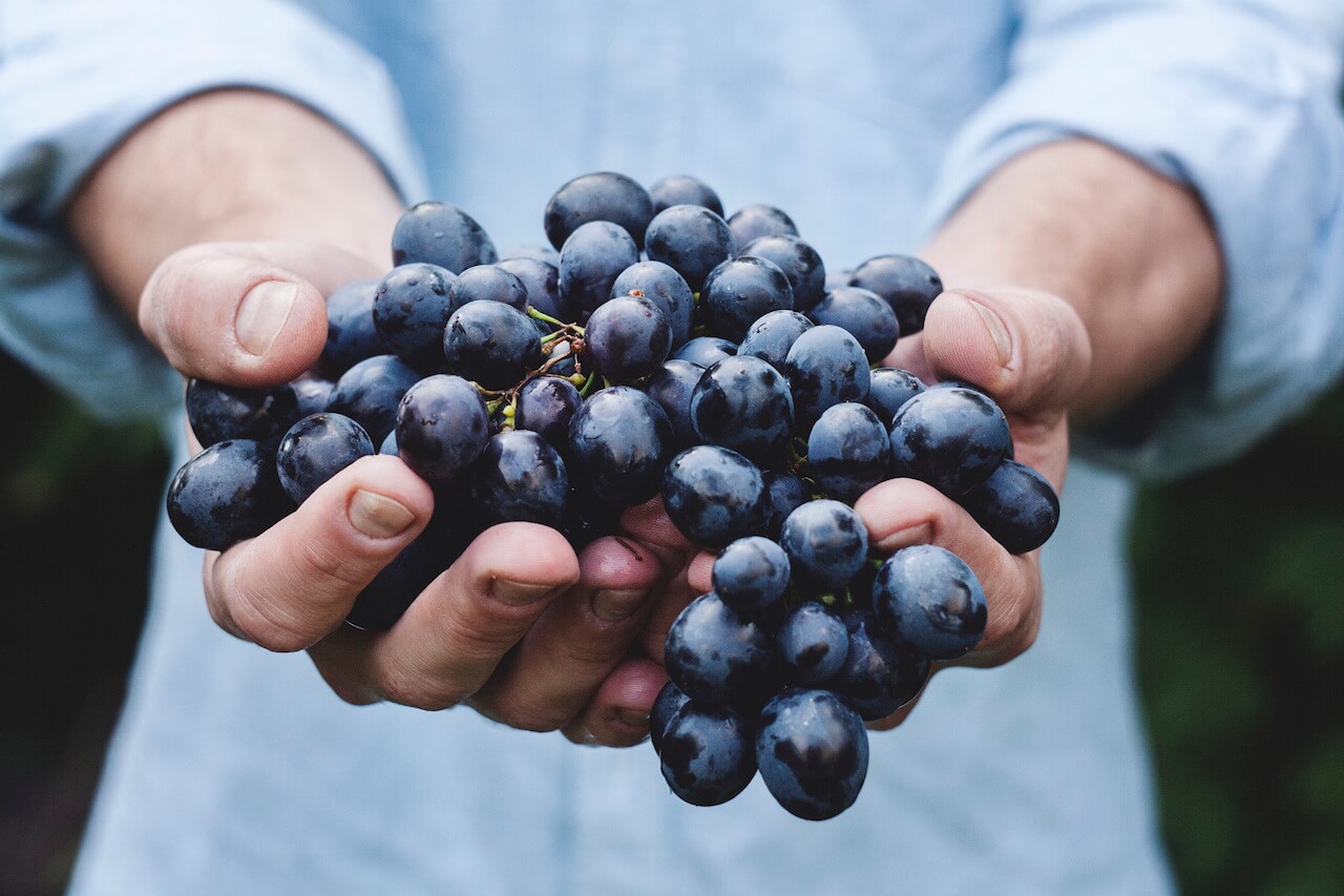 Blueberries offered