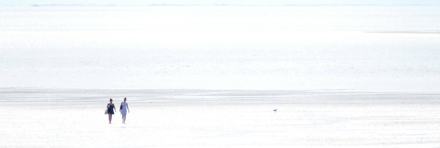 Beach Background
