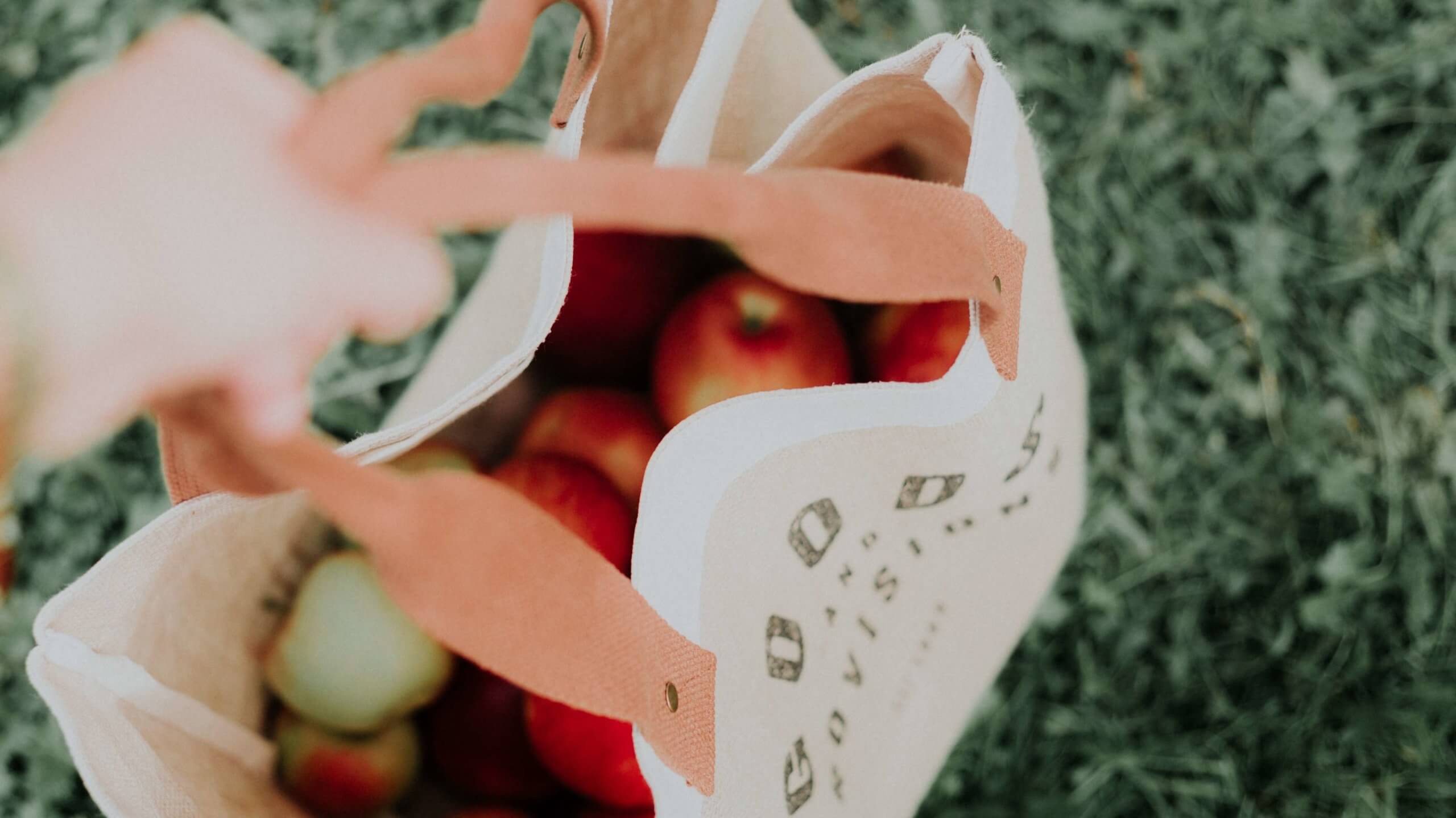 shopping bag with apples